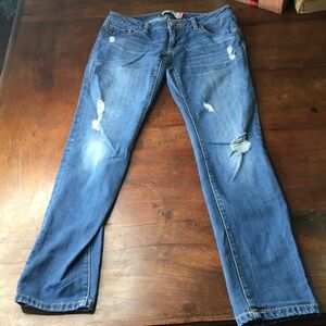 Cabi Womens Classic Blue Straight Jeans Size 2 Boyfriend Jeans